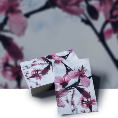 Pearl Business Card